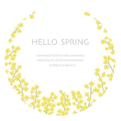 Vector Field Mustard Round Floral Background Illustration With Text Space Isolated On A White Background.