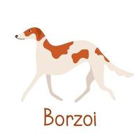 Galgo ruso o raza de perro borzoi. perro de dibujos animados aislado sobre fondo blanco. ilustración vectorial de un piso para mascotas
