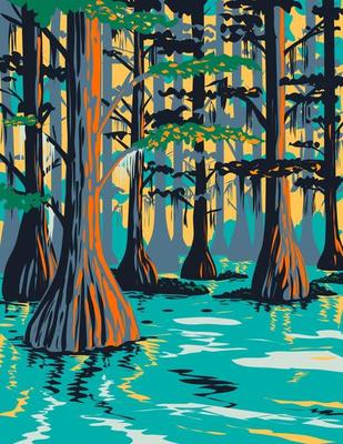 Caddo Lake State Park with Bald Cypress Trees in Harrison and Marion County East Texas USA WPA Poster Art