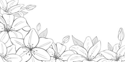 Monochrome flowers on white background. Hand drawn lilies. Horizontal flyer. Vector illustration. Black and white.