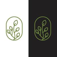 Tropical plant logo design minimal style vector