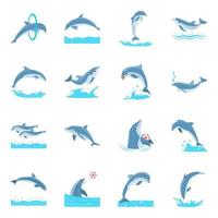 conceptos de delfines de dibujos animados vector