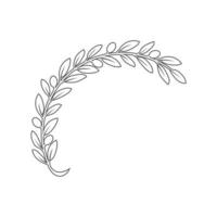 line icon olive branch leaf isolated on white background. vector