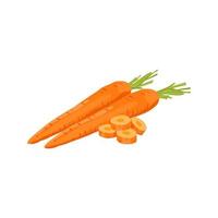 vector aislado de zanahoria de verduras frescas en fondo blanco