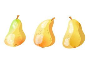 Three Gold pear vector