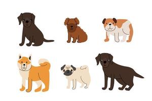 lindo juego de cachorros de perros. labrador retriever, cachorro caniche, buldog, akita inu, pug. ilustración vectorial aislado sobre fondo blanco vector