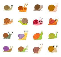 Snail Character Concepts vector