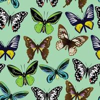 Patterns of various types and colors of Butterflies vector