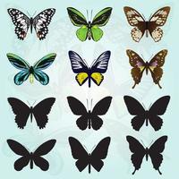 varios colores y tipos de mariposas vector