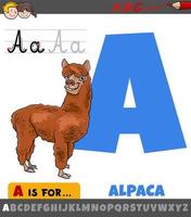 letter A from alphabet with cartoon alpaca animal vector