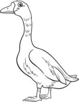 cartoon goose bird farm animal character coloring book page vector