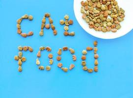 A bowl of cat food on a blue background with the inscription cat from pieces of food. The view from the top photo