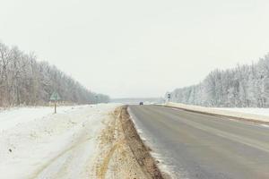 the winter forest near the road, during daylight hours photo