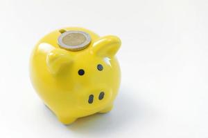 piggy Bank with one coin photo