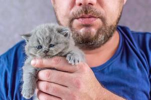 the bearded man embraces a little kitten photo