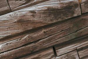 textura de árbol viejo. madera quemada foto