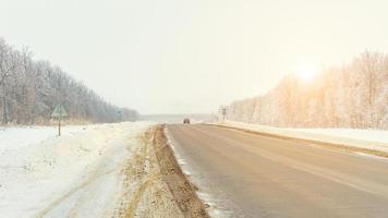 the winter forest near the road, during daylight hours photo