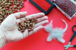 A human hand holds cat food on a background of grooming tools and a piece of cat hair in the shape of a cat on a pink background. The view from the top. photo
