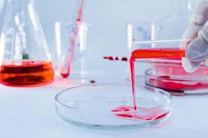 laboratorio médico. una mano en un guante médico vierte sangre en una placa de Petri para su análisis. Pruebas de laboratorio. foto