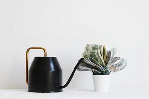 Watering can and a flower made of dollars in a pot on a white background. The concept of profitable investments and investments. photo