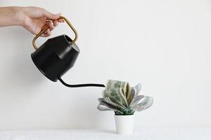 A hand is watering a flower from a watering can made of dollars in a pot on a white background. The concept of profitable investments and investments. photo