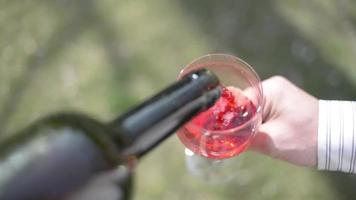 een man schenkt een glas rode wijn in een park in de natuur video