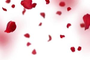 muchas rosas superpuestas rosas y pétalos de fondo de San Valentín con pétalos de rosa roja que caen en negro foto