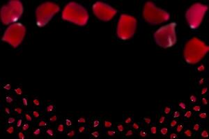 many rose overlay rose flowers and petal valentine background with falling red rose petals is on black photo