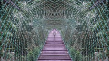 Kaleidoscopic view of canopy in jungle in kaleidoscopic video