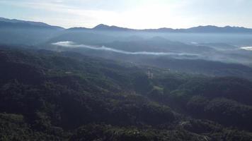 Aerial view green forest video