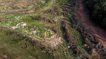 Aerial view land clearing. video