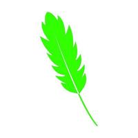 Feather illustrated on a white background vector