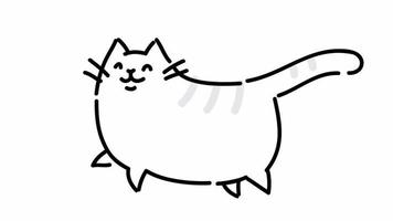 Fat cute cat runs. video