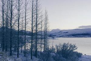 white snow in building beautiful sea winter ambiance with large blue sky in he sky surface hills. photo