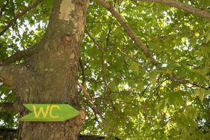 WC toilet on a wooden banner board on a tree. Simple handmade design with arrow pointing the direction of the restroom. photo