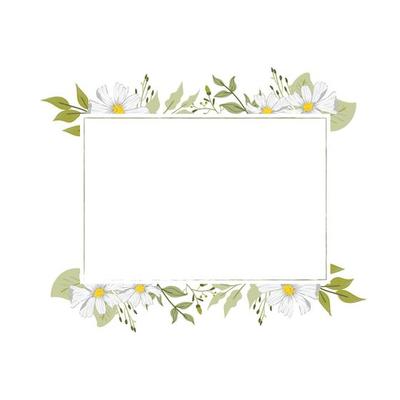 white flower beautiful frame