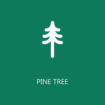 Pine Tree icon. Trendy flat vector Pine Tree icon on white background, vector illustration can be use for web and mobile