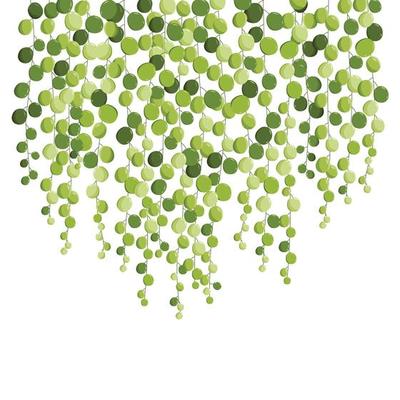 String of pearl beautiful green background