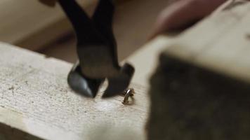 Eisenzange beißt einen Nagel in einem Holzbrett ab video
