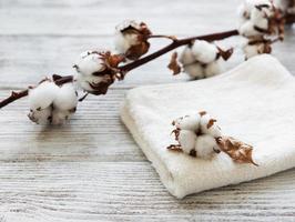 cotton flower and towel photo