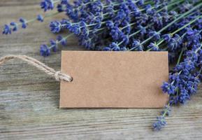 Empty tag and lavender flowers photo