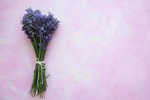 Fresh flowers of lavender photo