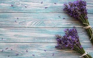 Fresh flowers of lavender photo