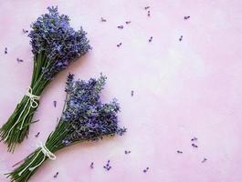 Fresh flowers of lavender photo