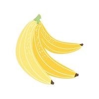 banana fresh icon vector