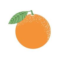 icono de naranja fresca vector
