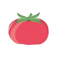 icono de tomate fresco vector