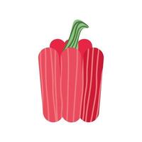 pimiento fresco vector