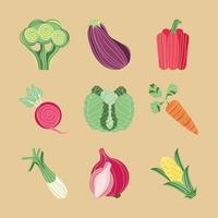 iconos verduras frescas vector