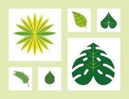 set of green leaves vector